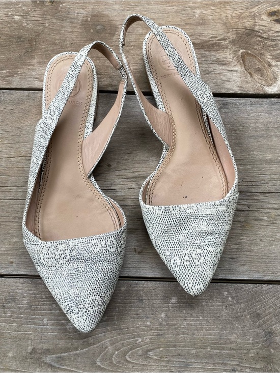Tory Burch Shoes - Tory Burch Snake Pointed Toe Slingback Flats